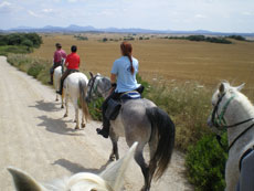 S&eacute;jour &eacute;questre &agrave; Majorque - Bal&eacute;ares - Rando Cheval